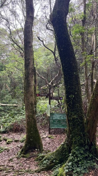 東眼2815848