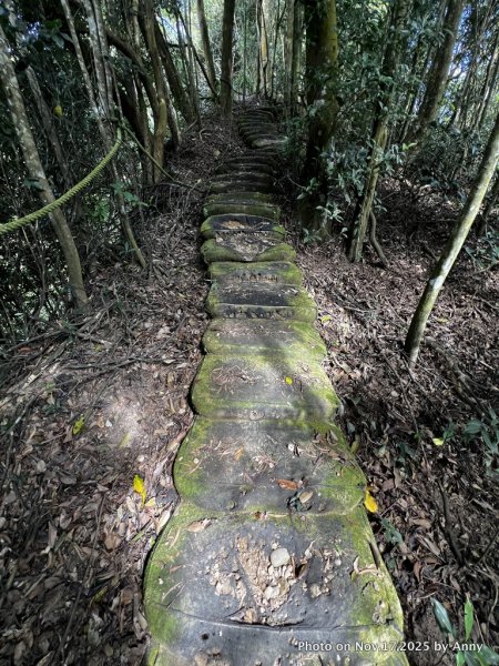 苗栗三員縱走2942843