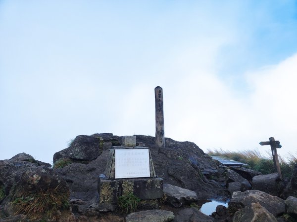 苗圃上七星下冷水坑2647501