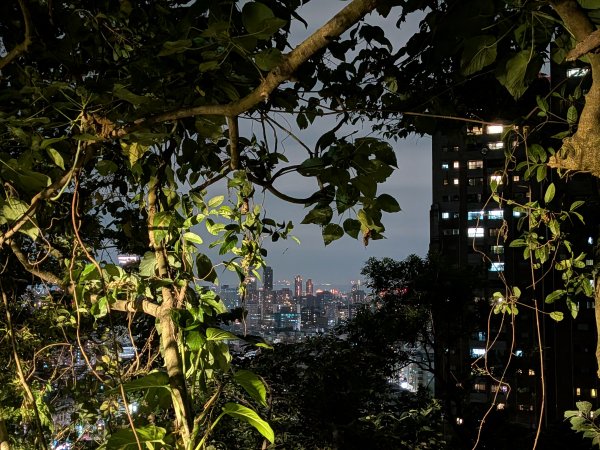 2025-05-19 象山夜景2793918