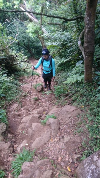 20180506陽明山東西大縱走(逆)半328501