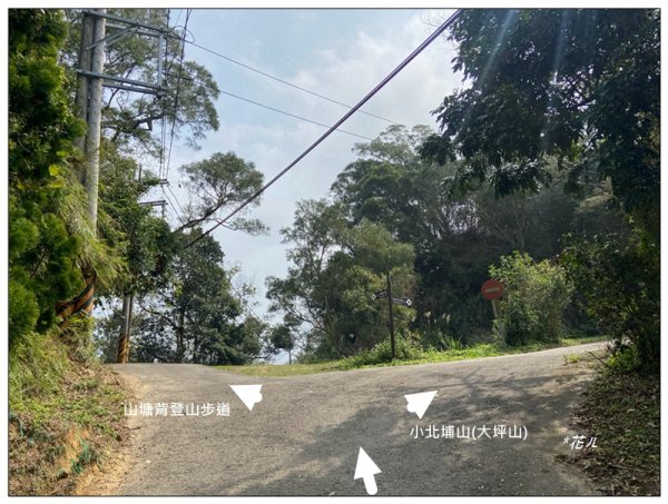 小北埔山、茶香小徑、櫻木花之道連走2759718