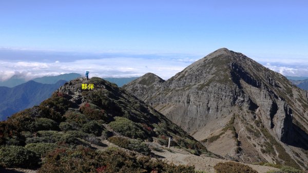 雪山黑森林直上甘木林山登雪主雪南過志佳陽下馬武霸兩日C型2758160