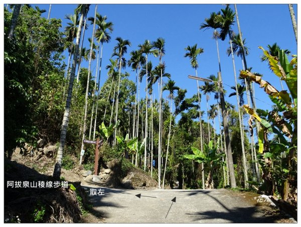 阿拔泉山、觀音石山連走1570781