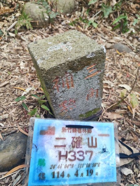 飛沙龍逆走2988874