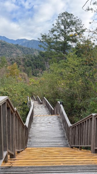埔里六秀 《有勝山 2105m》2025 12/132961229