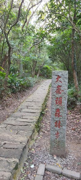 20211219 小百岳-台北大崙頭、尾山3056341