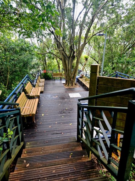 (二格山系)和美山螢火蟲-2025微笑山線大縱走尋寶集章任務2855252