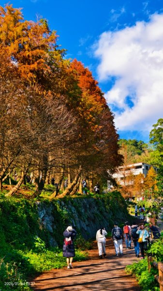 #花卉試驗中心 #永公路500巷 #平菁街42巷 #原住民公園 #士林官邸 1/42976536