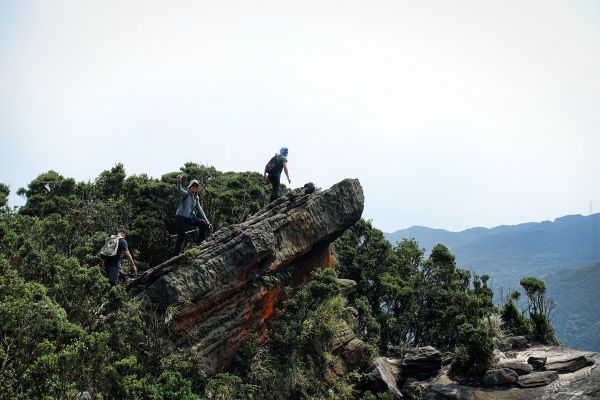 新山夢湖。五指山古道O型20180524338208