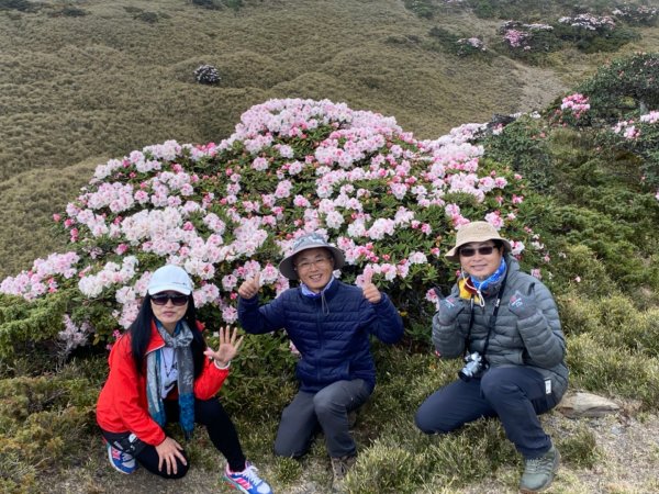 《南投》高山杜鵑盛宴｜哈哈山、石門山北峰20210418封面