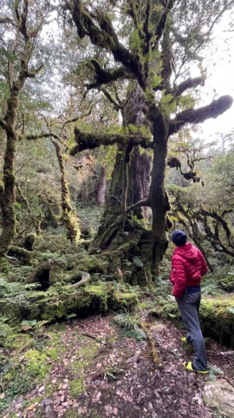 塔魔巴2天1夜來回/復興尖-四稜溫泉2357314