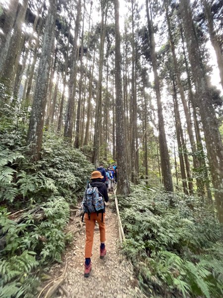 年輕人爬山趣～ 加里山 3/11 20232129277