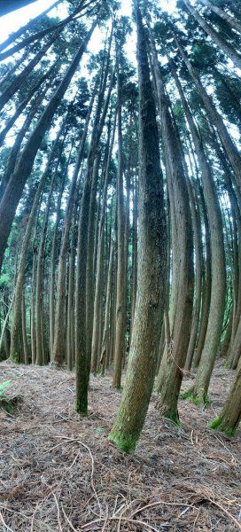 20250517義義兒玉山-東水山2791654