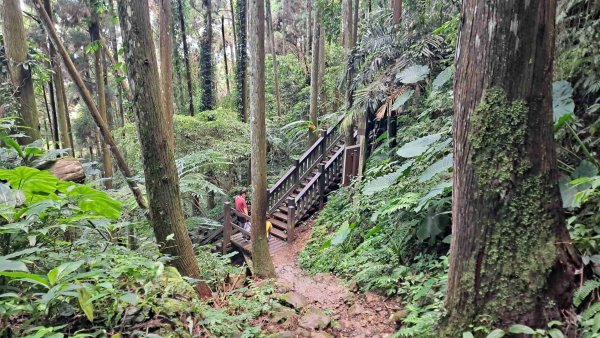 (6/10)五指山登山步道2247416