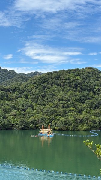 散步3079704