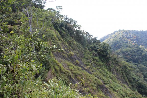 20201002高雄西阿里關山-茅山南峰1117679