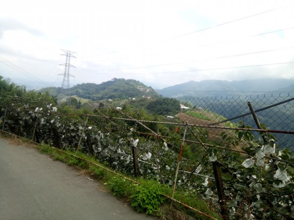 大雪山林道出雲山分桂林山+石岡電火圳生態步道1853584