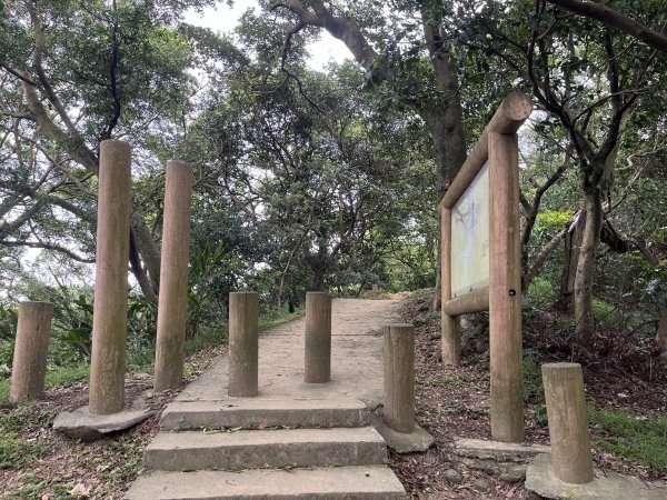 [微笑山線_第二段] 2025_0720 大棟山系_百年大榕樹2843326