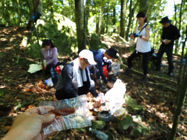 屋東縱走稜線之美。視角的轉換，同一座山也能給人截然不同的感受。(快樂腳攀登谷關七雄行)1837905