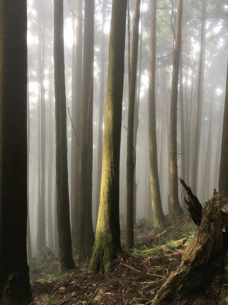 【萬丈光芒-加里山】媲美電影戰地般奇景974227