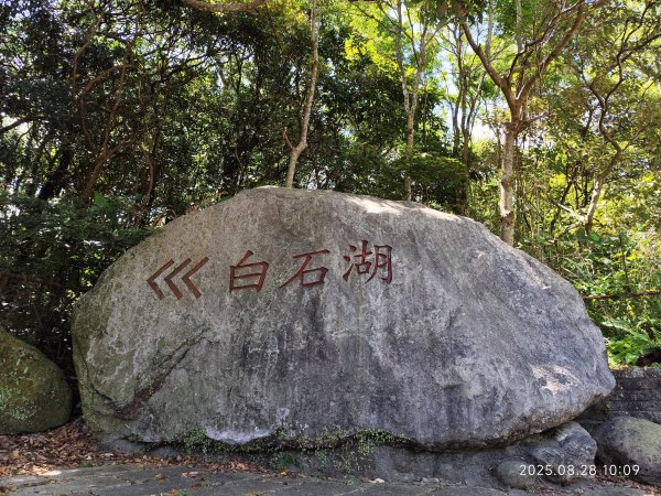 翠山步道、大崙頭尾山親山步道【臺北健走趣】2874320