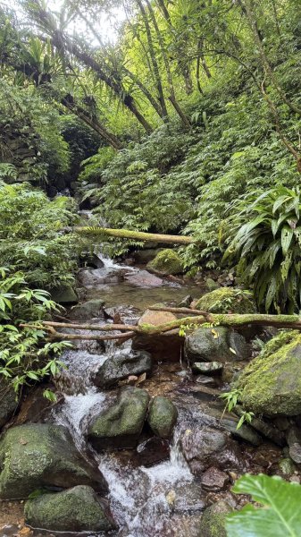 20250803枋山坑古道2850506