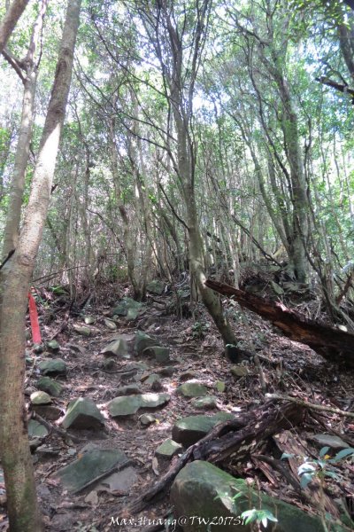 《台中》谷關七雄｜初登屋我尾山201703192890436