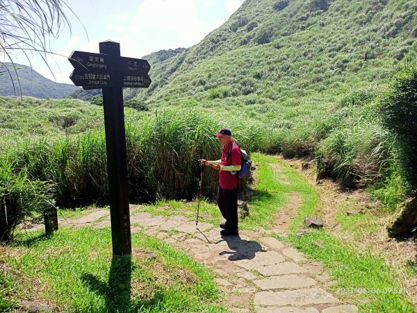 金包里大路(擎天崗至上磺溪停車場段)【走遍陽明山】2174781