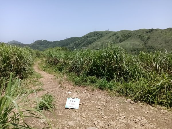 雙溪區不厭亭+牡丹山+樹梅坪+鷹石岩山神廟+不厭亭+奉憲示禁碑+三貂崙+不厭亭8字走2766304