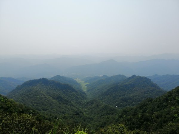 姜子寮山步道&姜子寮絕壁步道549605