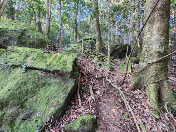 20260118騰龍山加里山O型2997508