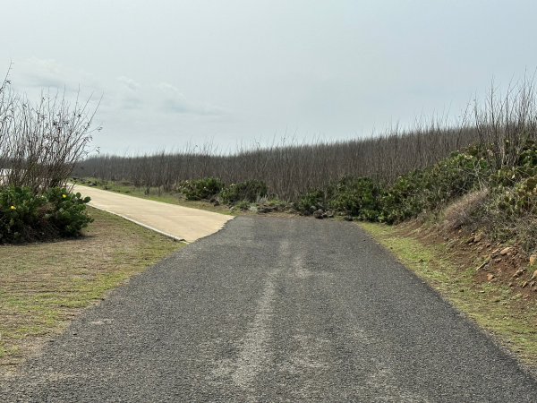 一日快閃澎湖登蛇頭山2122392