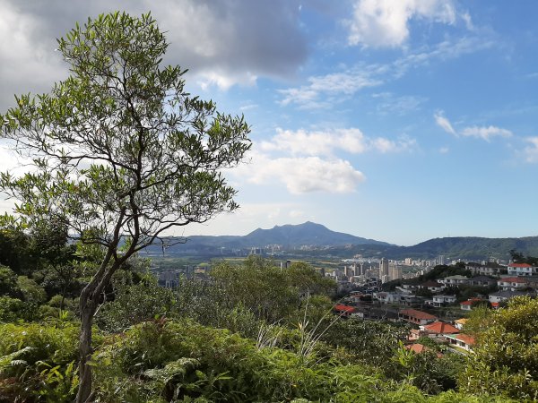 尋找山中鐵達尼、山形猶如鳳之丹鳯山753220