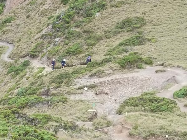 20220625台東海端向陽山、向陽山北峰、三叉山、嘉明湖1745674