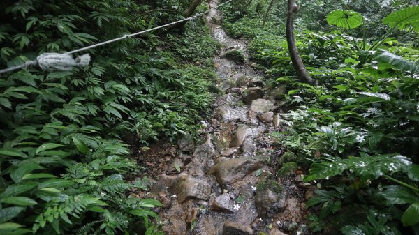 雙石縱走登山健行趣(小百岳24號&25號)2169508