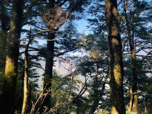 1140404二訪～塔關山2754065