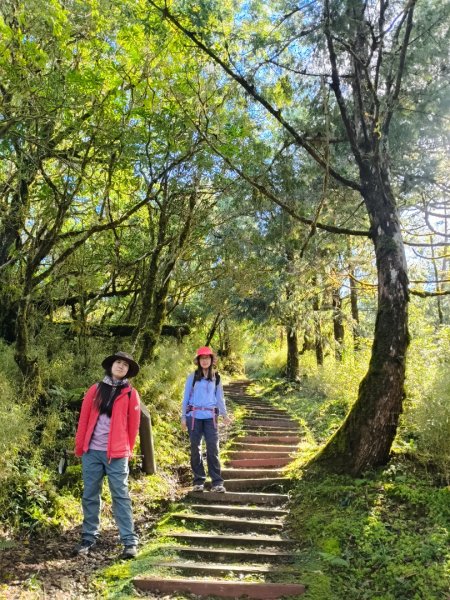 翠峰湖望洋山步道2940131