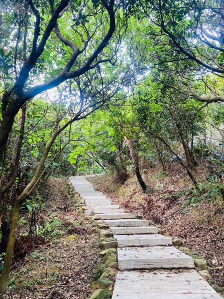 南子吝步道->  劍龍稜平台 ~  猶如台灣大山般的視野2576546