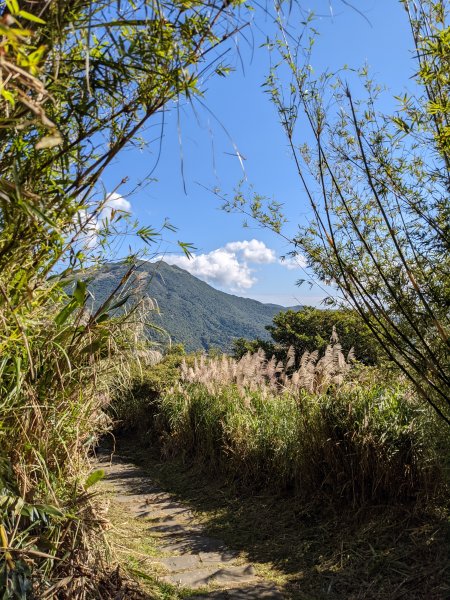 中正山 頂湖山1533428