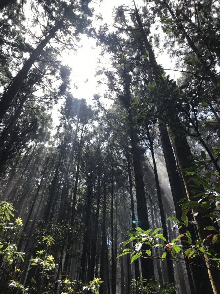 麥巴來山O型之霧895694