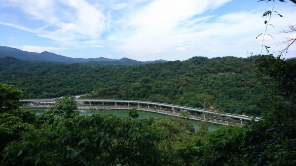 白鷺鷥山步道363307