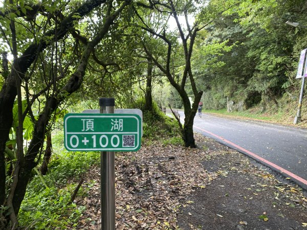 《走進竹子湖的清晨｜慢跑+美食＋泡湯享悠閒》2852680