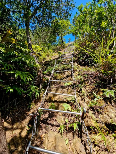 (二格山系)皇帝殿稜線-2025微笑山線大縱走尋寶集章任務2863481