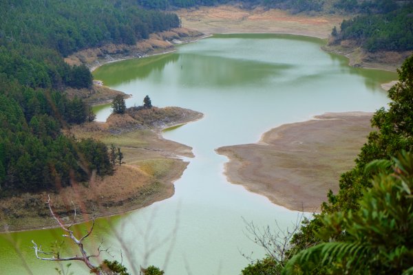 少了濃霧的翠峰湖環山步道805867