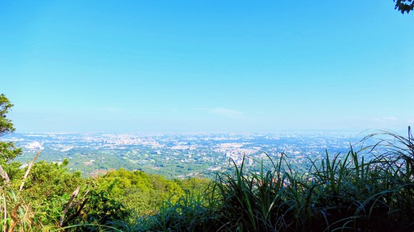 桃園石門山2916134