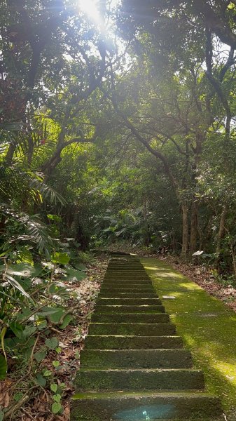 🌈6/22(日) 南投-中興新村-虎山步道✨FB：熊熊趴爬走🌈2818323