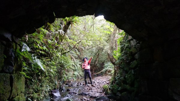 璀璨百年淡蘭古道～崩山坑古道、溪尾寮山、保城坑古道、虎豹潭步道O走1313443