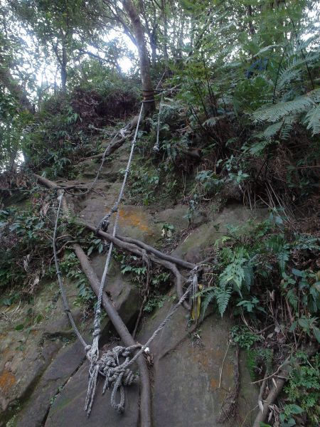 台灣小百岳第21座-桃園大溪金面山三角點100594