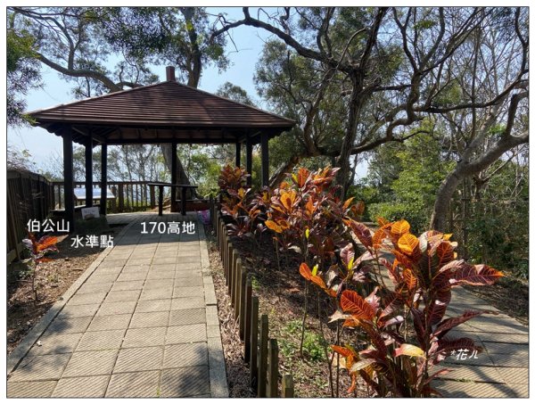 老崎古道、老崎坪頂山 (頭份)2737164